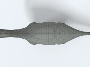 cartoon brachiosaurus dinosaur 3D Model