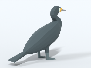 low poly cartoon great cormorant Model 3D