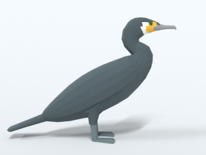 low poly cartoon great cormorant Model 3D