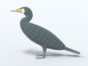 low poly cartoon great cormorant Model 3D