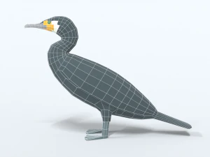 low poly cartoon great cormorant 3D Model