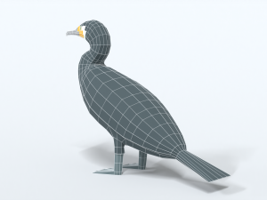 low poly cartoon great cormorant Model 3D