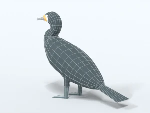 low poly cartoon great cormorant 3D Model