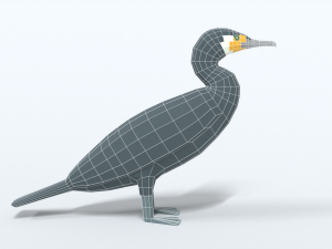 low poly cartoon great cormorant Model 3D