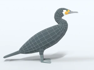 low poly cartoon great cormorant 3D Model