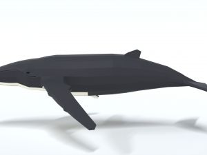 low poly cartoon humpback whale 3D-Modell