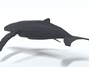 low poly cartoon humpback whale 3D-Modell