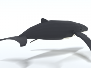 low poly cartoon humpback whale 3D-Modell