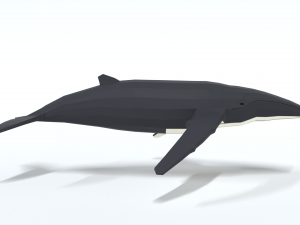low poly cartoon humpback whale 3D-Modell