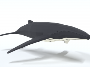 low poly cartoon humpback whale 3D-Modell