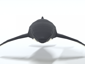 low poly cartoon humpback whale 3D-Modell