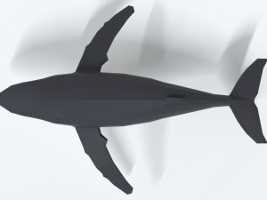 low poly cartoon humpback whale 3D-Modell
