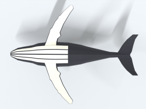 low poly cartoon humpback whale 3D-Modell