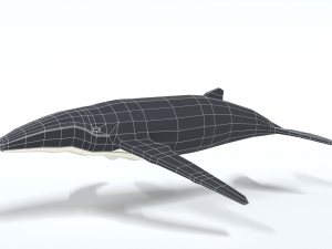 low poly cartoon humpback whale 3D-Modell