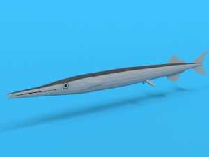 low poly cartoon garfish 3D Model