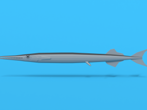 low poly cartoon garfish 3D Model