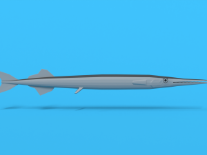 low poly cartoon garfish 3D Model