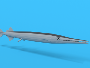 low poly cartoon garfish 3D Model