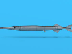 low poly cartoon garfish 3D Model
