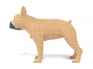 low poly cartoon french bulldog 3D 모델