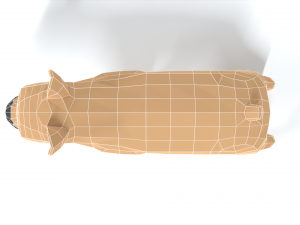 low poly cartoon french bulldog 3D 모델