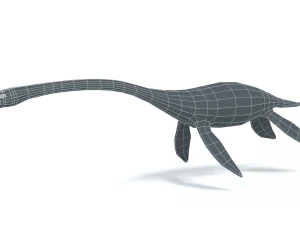 low poly cartoon plesiosaurus dinosaur 3D Model