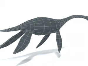 low poly cartoon plesiosaurus dinosaur 3D Model
