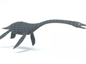 low poly cartoon plesiosaurus dinosaur 3D Model