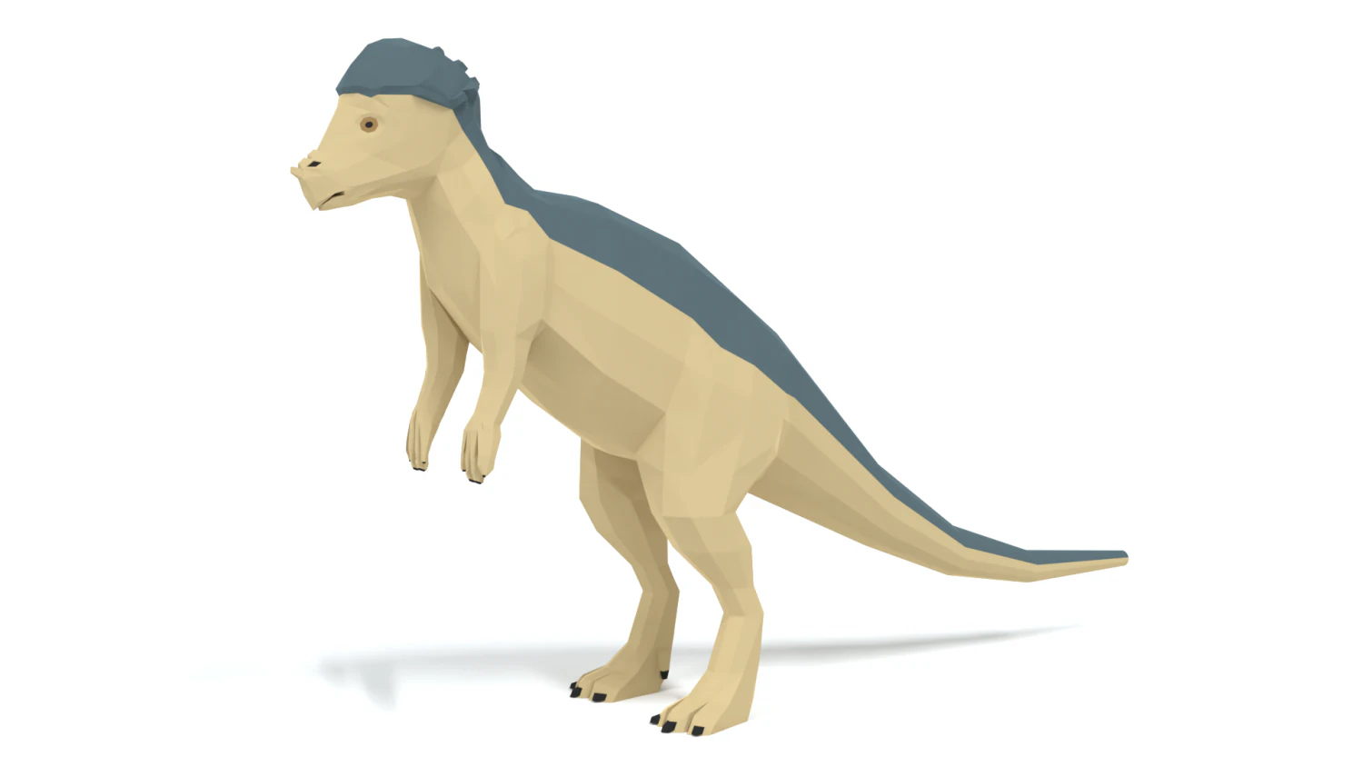 low poly cartoon pachycephalosaurus dinosaur 3D Model .c4d .max .obj .3ds .fbx .stl .blend 
