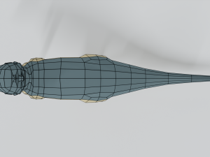 low poly cartoon pachycephalosaurus dinosaur Modelo 3D
