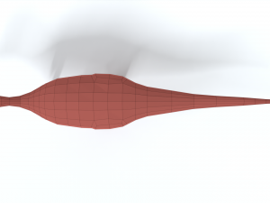 low poly cartoon camptosaurus dinosaur 3D Model