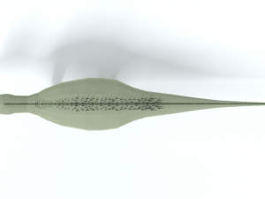 low poly cartoon zalmoxes dinosaur Modelo 3D