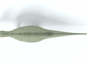 low poly cartoon zalmoxes dinosaur 3D Model