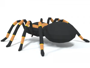 low poly cartoon tarantula 3D Model
