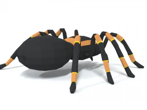 low poly cartoon tarantula 3D Model