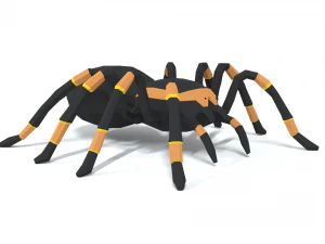 low poly cartoon tarantula 3D Model
