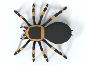 low poly cartoon tarantula 3D Model