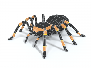 low poly cartoon tarantula Modèle 3D