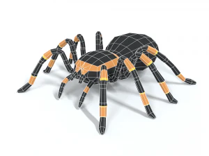 low poly cartoon tarantula 3D Model