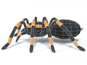 low poly cartoon tarantula 3D Model