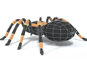 low poly cartoon tarantula 3D Model