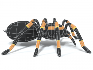 low poly cartoon tarantula Modèle 3D