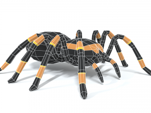 low poly cartoon tarantula Modèle 3D