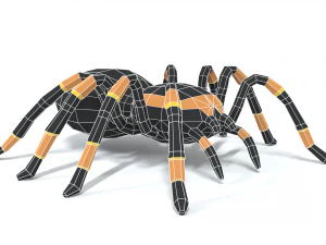 low poly cartoon tarantula 3D Model