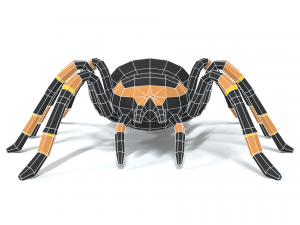 low poly cartoon tarantula Modèle 3D