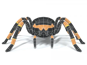 low poly cartoon tarantula 3D Model