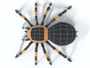 low poly cartoon tarantula Modèle 3D
