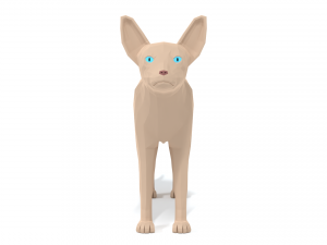 low poly cartoon sphynx cat 3D मॉडल
