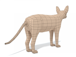 low poly cartoon sphynx cat 3D मॉडल