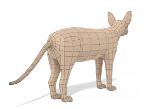 low poly cartoon sphynx cat 3D Model